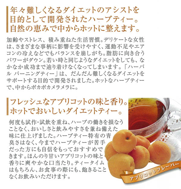 ハーバル バーニング ティー