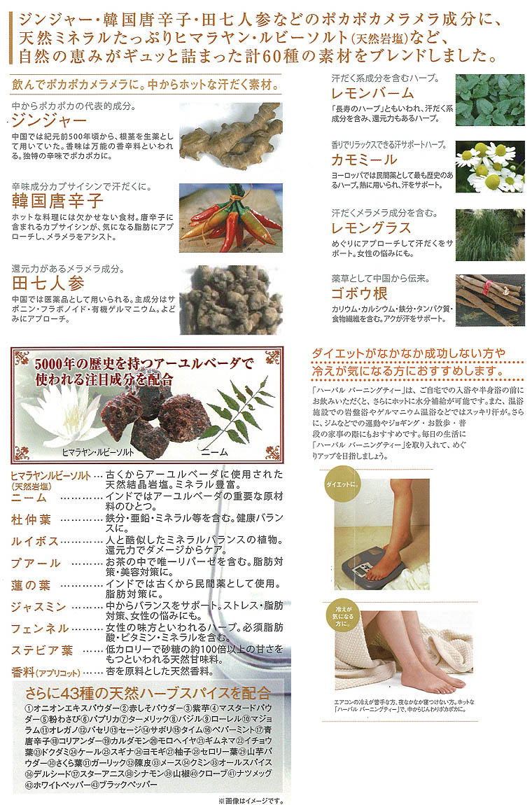 ハーバル バーニング ティー